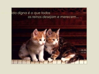 Uma vida digna é o que todos  os reinos desejam e merecem... 
