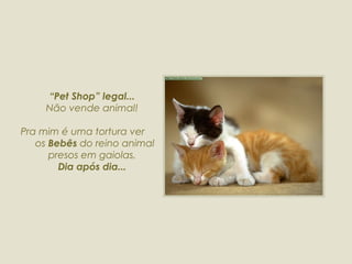 “ Pet Shop” legal... Não vende animal! Pra mim é uma tortura ver  os  Bebês  do reino animal presos em gaiolas, Dia após dia... 