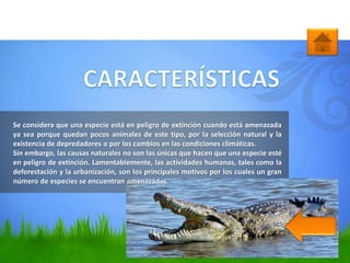Se considera que una especie está en peligro de extinción cuando está amenazada
ya sea porque quedan pocos animales de este tipo, por la selección natural y la
existencia de depredadores o por los cambios en las condiciones climáticas.
Sin embargo, las causas naturales no son las únicas que hacen que una especie esté
en peligro de extinción. Lamentablemente, las actividades humanas, tales como la
deforestación y la urbanización, son los principales motivos por los cuales un gran
número de especies se encuentran amenazadas.
 