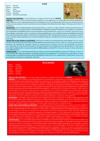 .
EL SURI
Reino : Animal
Phylum : Cordados
Clase : Aves
Orden : Rheiformes
Familia : Rheidae
Especie : Pterocnemia pennata
GRUPO AL QUE PERTENECE.- El Suri pertenece a la grupo o familia de las RHEIDAE
HABITAD.- En el Perú, el suri o ñandúde las alturas habita en la ecoregiónPuna, en los pajonales alto andinos ybóveda les a
4200 y 4800 msnm enlos departamentos de Puno, Moquegua yTacna, formandogrupos mixtos conotro animales comolas
vicuñas, tarucas yalpacas;lo que locaracteriza comouna especie eminentemente social yllega a formar grupos de hasta 15
individuos.
DESCRIPCION.- Son de cabeza pequeña, de picoancho yplano; su cuello es largo y flexible cubierto parcialmente por
plumas;presenta uncolor gris pardocon manchasblancas, diseñadopara poder mimetizarse con su hábitat. Es una especie
que ha perdidosucapacidad de vuelo;encontra posición con esta característica, posee los miembros posteriores muy
desarrollados: pataslargas, fuertes, musculosasycallosas adaptadaspara correr, pudiendo alcanzar velocidadesde hasta 80
Km/h. Además poseentres dedos los cuales estánrevestidos de escudos. Laterocnemia pennata es un ave de gran tamaño,
mide 1.5 metros aproximadamente, conunpesopromediode 25 kg yes considerada comoel ave de mayor peso y tamaño
en el Perú.
CAUSAS POR LA QUE PELIGRA SU EXISTENCIA.- Otro factor reciente ymuyamenazante para estas especies son las malas
prácticas veterinarias, pues se han dadouna diversidadde casos como la que se llevó a cabo en el Centro de Rescate de
Animales del poblado de Umajalso, donde sin mayor criterio se vacunó a 53 suri, ocasionándoles la muerte
por intoxicación. Lo mismoocurrióaños atrás enla Granja Tupalá en Puno, donde perecieron 20 ejemplares. Hasta hace
unos años la poblacióndel suri apenasalcanzaba los 300ejemplares en todoel Pe rú, hoyse teme que se haya reducido a
unos 200individuos
CONSERVACIÓN.- El suri viene experimentandouna fuerte ycreciente amenaza debido a la presión entrópica, es decir la
presión delhombre sobre el ecosistema. La pérdida ydeterioro de suhábitat por el incremento de la ganadería, la caza
indiscriminada yla colecciónde huevos vienenocasionandola reducción de sus poblaciones, motivo por el cual en la
actualidad se encuentra en peligro de extinción.
OSO DE ANTEOJOS
Reino : Animal
Phylum : Cordados
Clase : Mamifero
Orden : Carnivoro
Familia : Ursidae
Especie : Ornatus
GRUPO AL QUE PERTENECE.- El oso de anteojos pertenece a la grupo o familia de las URSIDAE
HABITAD.- El oso de anteojos es una especie clave para la conservación de lospáramos y los bosques nublados. Por ser un
mamífero grande requiere degrandes cantidades de recursos que, al ser conservados, pueden ser utilizadospor otras especies de
estos ecosistemas. Los osos vivenmayormente enelbosque nublado donde obtienenalimentación y protección. Sin embargo
cuandoescasea el alimento, el osose desplaza al páramoensubúsqueda. Provocanespacios abiertos enlos niveles superiores del
bosque a través de la ruptura deramas, locual ayuda a la entrada de los rayos solares hacia los nivelesinferiores, impartiendo la
energía necesaria para que las plantas desarrollenyse estabilice la estructuración del bosque.Son especies vitales para la
conservación de los páramos, espacios queson considerados como colchones captadores y almacenadores de agua,
yconservación de cuencas. Sondispersadores de semillas de las plantascuyosfrutos consumen, logrando el mantenimiento y
recuperacióndel bosque, actúacomo unpolinizador, transportandopolen de diversas plantas en su espesopelaje. Especies
indicadoras del buen estado de salud de los ecosistemas debosques y páramos principalmente.
DESCRIPCION Puede llegar a pesar hasta 175 kilos ysu longitud varía entre 1.2 y2.2metros. Su pelaje es largo, espeso ytosco, de
color negro conbrillorojizoentodoel cuerpo, pero conmachas claras de tono amarillento en el rostro y partedel pecho. Las
manchasenrostro ypecho sonmarcas que diferencian a cadaoso, soncomouna "huella digital" que h a generado confusión
debido a susdiversas formas, llevando a la creencia que existe más de una especie de oso.
CAUSAS POR LA QUE PELIGRA SU EXISTENCIA Los enemigos naturales del oso de anteojos son el jaguar y el puma, peroes el
hombre quienmás ha contribuidoa diezmar supoblacióndebido a ladestrucciónde los bosques que conforman su hábitat, a
la cacería indiscriminadaa la cuales sometidoya su tráficoilícito. La pérdida de hábitat es el principalproblema que enfrenta el
oso de anteojos, en vista que los bosques de neblinadonde vive están desapareciendo a gran velocidad debido a la
deforestaciónocasionada por la agricultura migratoria, los incendios forestales y la tala debosques para madera. Apenas le
quedanalgunos parchesboscosos para vivir.Es víctima de una cacería furtiva e indiscriminada por ser consideradouna amenaza
para el ganadoypara los campos de maíz. Tambiénmuere debidoa los pesticidas que son vertidos en los campos de cultivo.
Existencia unacreencia infundada que señala que sus garras tienen propiedades curativas.
CONSERVACIÓN.- El oso de anteojos está incluidoenel Apéndice 1 del Conveniosobre elComercio Internacional de Especies de
Fauna yFlora Silvestre Amenazada -CITES, que regula el comerciode especiesprotegidas, considerándolauna especie envías de
extinción. En el Perú, a través delD.S. Nº 013-99-AG del 13de mayode 1999, protege a esta especie. En nuestropaís se realizan
algunosesfuerzos para su conservación, una muestra de ello se da en la ReservaEcológica de Chaparrí, perteneciente a la
comunidad de Santa Catalina deChongoyape, en el departamentode Lambayeque, donde se rescatan a estaespecie con el
objetivo de reintroducirla a suhábitat natural.El osode anteojos es protegidopor el Estado Peruanoenel ParqueNacional Cerros
de Amotape, P.N. Cutervo, P.N. Huascarán, P.N. Río Abiseo,P.N. Manu, P.N. Tingo María, P.N. Yanachaga Chemillén, Calipuy,
SantuarioNacional Tabaconas Namballe, S.N. Ampay, S.N. Calipuy, y Santuario Históricode Machupicchu.
 