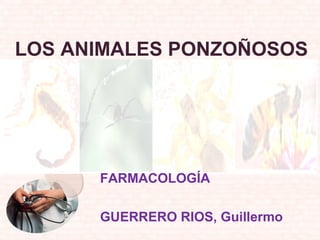 LOS ANIMALES PONZOÑOSOS
FARMACOLOGÍA
GUERRERO RIOS, Guillermo
 