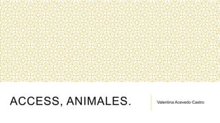 ACCESS, ANIMALES.

Valentina Acevedo Castro

 