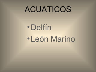 ACUATICOS Delfín León Marino
