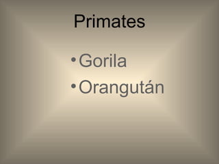 Primates Gorila Orangután