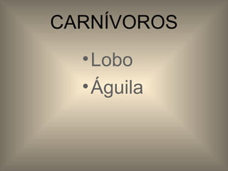CARNÍVOROS Lobo Águila