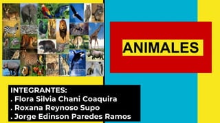 ANIMALES
INTEGRANTES:
. Flora Silvia Chani Coaquira
. Roxana Reynoso Supo
. Jorge Edinson Paredes Ramos
 