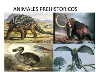 ANIMALES PREHISTORICOS
 