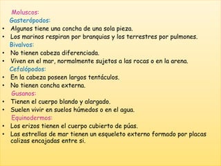Moluscos:
Gasterópodos:
• Algunos tiene una concha de una sola pieza.
• Los marinos respiran por branquias y los terrestres por pulmones.
Bivalvos:
• No tienen cabeza diferenciada.
• Viven en el mar, normalmente sujetos a las rocas o en la arena.
Cefalópodos:
• En la cabeza poseen largos tentáculos.
• No tienen concha externa.
Gusanos:
• Tienen el cuerpo blando y alargado.
• Suelen vivir en suelos húmedos o en el agua.
Equinodermos:
• Los erizos tienen el cuerpo cubierto de púas.
• Las estrellas de mar tienen un esqueleto externo formado por placas
calizas encajadas entre si.
 