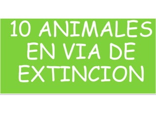10 ANIMALES
EN VIA DE
EXTINCION
 