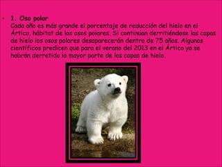 • 1. Oso polar
Cada año es más grande el porcentaje de reducción del hielo en el
Ártico, hábitat de los osos polares. Si continúan derritiéndose las capas
de hielo los osos polares desaparecerán dentro de 75 años. Algunos
científicos predicen que para el verano del 2013 en el Ártico ya se
habrán derretido la mayor parte de las capas de hielo.
 