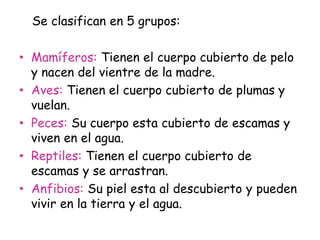Se clasifican en 5 grupos:
• Mamíferos: Tienen el cuerpo cubierto de pelo
y nacen del vientre de la madre.
• Aves: Tienen el cuerpo cubierto de plumas y
vuelan.
• Peces: Su cuerpo esta cubierto de escamas y
viven en el agua.
• Reptiles: Tienen el cuerpo cubierto de
escamas y se arrastran.
• Anfibios: Su piel esta al descubierto y pueden
vivir en la tierra y el agua.
 