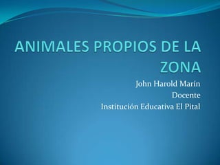 ANIMALES PROPIOS DE LA ZONA,[object Object],John Harold Marín,[object Object],Docente ,[object Object],Institución Educativa El Pital,[object Object]