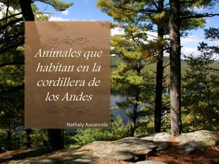 Animales que
habitan en la
cordillera de
los Andes
Nathaly Aucancela
 