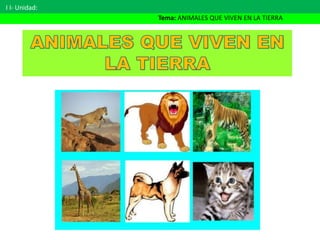 Animales que viven en la tierra | PPTX