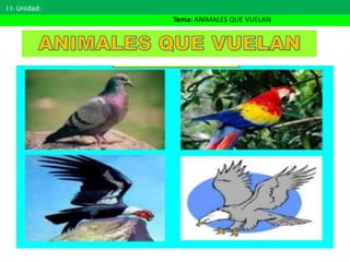 Animales que vuelan | PPTX