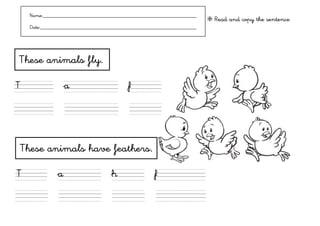 Name:___________________________________________________________
                                                                      ❇ Read and copy the sentence
  Date:____________________________________________________________




These animals fly.

T---.-         anima..ls                fhave


----.-         anima..ls                .have




These animals have feathers.

TThe         anmals               hav.e           feathers


Thes         anmals               .have            feathers
 