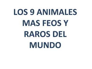 LOS 9 ANIMALES
MAS FEOS Y
RAROS DEL
MUNDO
 
