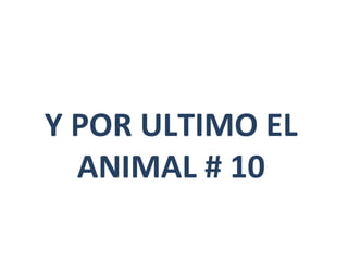 Y POR ULTIMO EL
  ANIMAL # 10
 