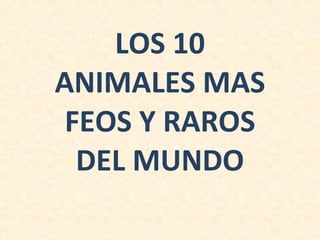 LOS 10 ANIMALES MAS FEOS Y RAROS DEL MUNDO 