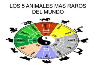 LOS 5 ANIMALES MAS RAROS
DEL MUNDO

 