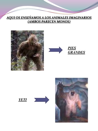 AQUI OS ENSEÑAMOS A LOS ANIMALES IMAGINARIOS
(AMBOS PARECEN MONOS)

PIES
GRANDES

YETI

 
