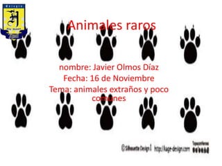 Animales raros
nombre: Javier Olmos Díaz
Fecha: 16 de Noviembre
Tema: animales extraños y poco
comunes
 
