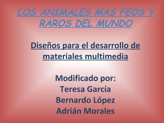 LOS ANIMALES MAS FEOS Y RAROS DEL MUNDO Diseños para el desarrollo de materiales multimedia Modificado por: Teresa García Bernardo López Adrián Morales 
