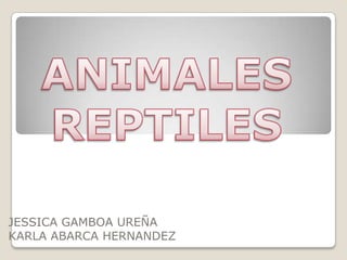 ANIMALES REPTILES JESSICA GAMBOA UREÑA KARLA ABARCA HERNANDEZ 