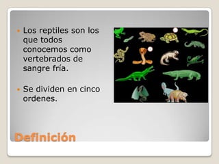 DefiniciónLos reptiles son los que todos conocemos como vertebrados de sangre fría.Se dividen en cinco ordenes.