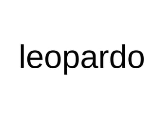 leopardo
 