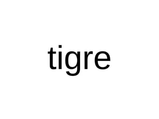 tigre
 