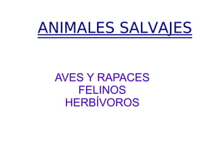 ANIMALES SALVAJES AVES Y RAPACES FELINOS HERBÍVOROS 