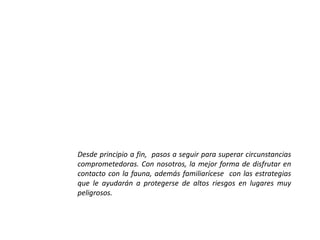 Desde principio a fin, pasos a seguir para superar circunstancias
comprometedoras. Con nosotros, la mejor forma de disfrutar en
contacto con la fauna, además familiarícese con las estrategias
que le ayudarán a protegerse de altos riesgos en lugares muy
peligrosos.