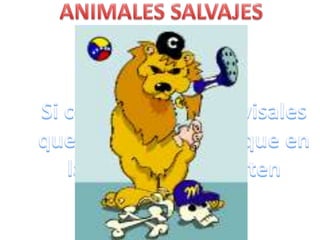 Animales salvajes