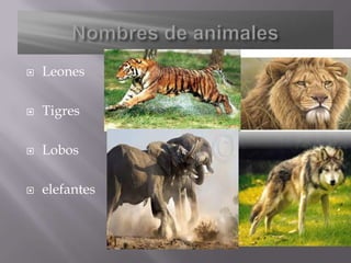    Leones

   Tigres

   Lobos

   elefantes
 