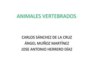 ANIMALES VERTEBRADOS
CARLOS SÁNCHEZ DE LA CRUZ
ÁNGEL MUÑOZ MARTÍNEZ
JOSE ANTONIO HERRERO DÍAZ
 