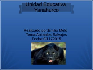 Unidad Educativa
Yanahurco
Realizado por:Emilio Melo
Tema:Animales Salvajes
Fecha:9/1172015
 