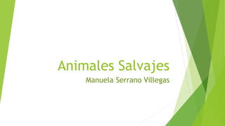 Animales Salvajes
Manuela Serrano Villegas
 