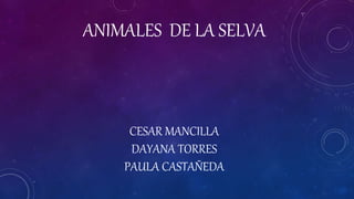 ANIMALES DE LA SELVA
CESAR MANCILLA
DAYANA TORRES
PAULA CASTAÑEDA
 