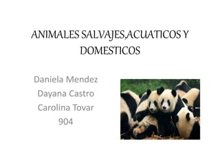 ANIMALES SALVAJES,ACUATICOS Y
DOMESTICOS
Daniela Mendez
Dayana Castro
Carolina Tovar
904
 