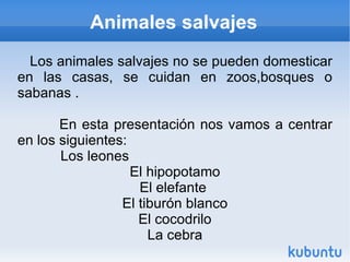 Animales salvajes ,[object Object]