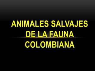 ANIMALES SALVAJES
DE LA FAUNA
COLOMBIANA
 
