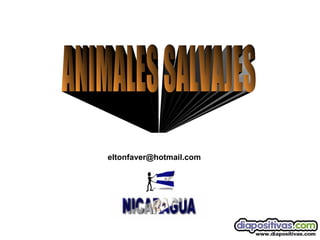 ANIMALES SALVAJES  [email_address] 