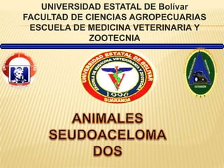 UNIVERSIDAD ESTATAL DE BolívarFACULTAD DE CIENCIAS AGROPECUARIASESCUELA DE MEDICINA VETERINARIA Y ZOOTECNIA ANIMALES SEUDOACELOMADOS 
