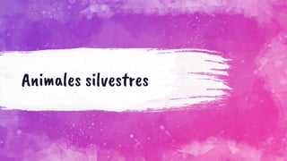 Animales silvestres
 