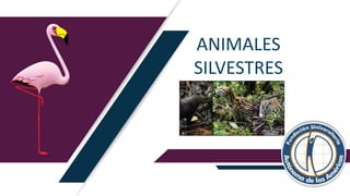 ANIMALES
SILVESTRES
 