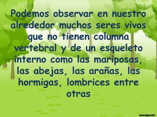 Podemos observar en nuestro
alrededor muchos seres vivos
     que no tienen columna
 vertebral y de un esqueleto
 interno como las mariposas,
  las abejas, las arañas, las
  hormigas, lombrices entre
             otras
 