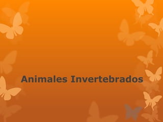 Animales Invertebrados
 