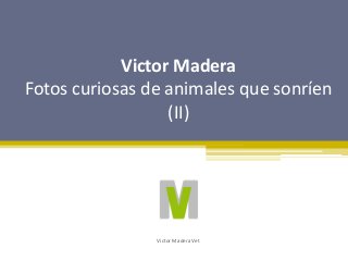 Victor Madera
Fotos curiosas de animales que sonríen
(II)
Victor Madera Vet
 