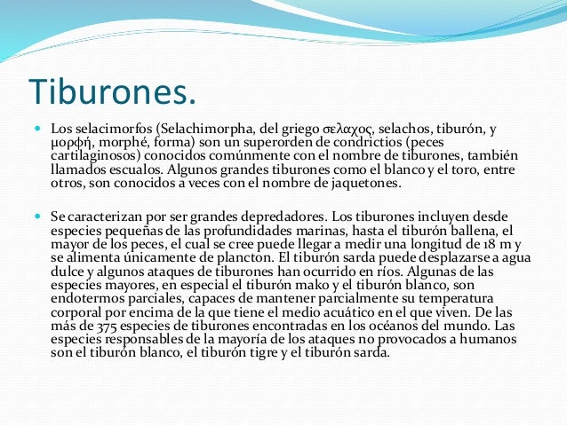 power point tema libreanimales